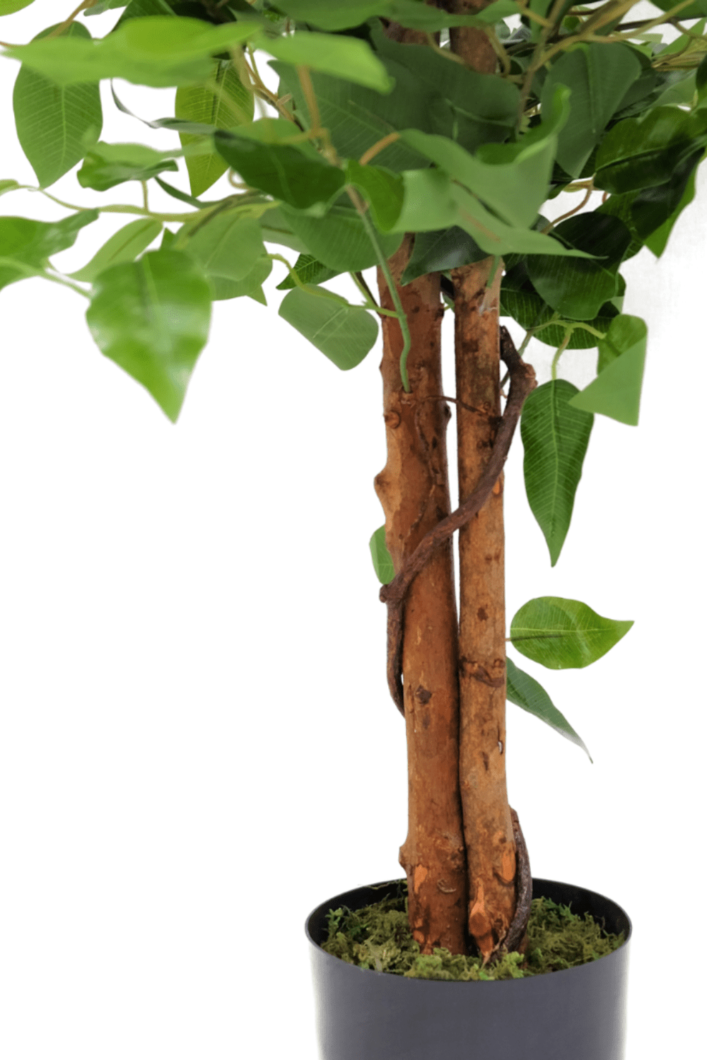 stam Ficus Kunstboom 90cm