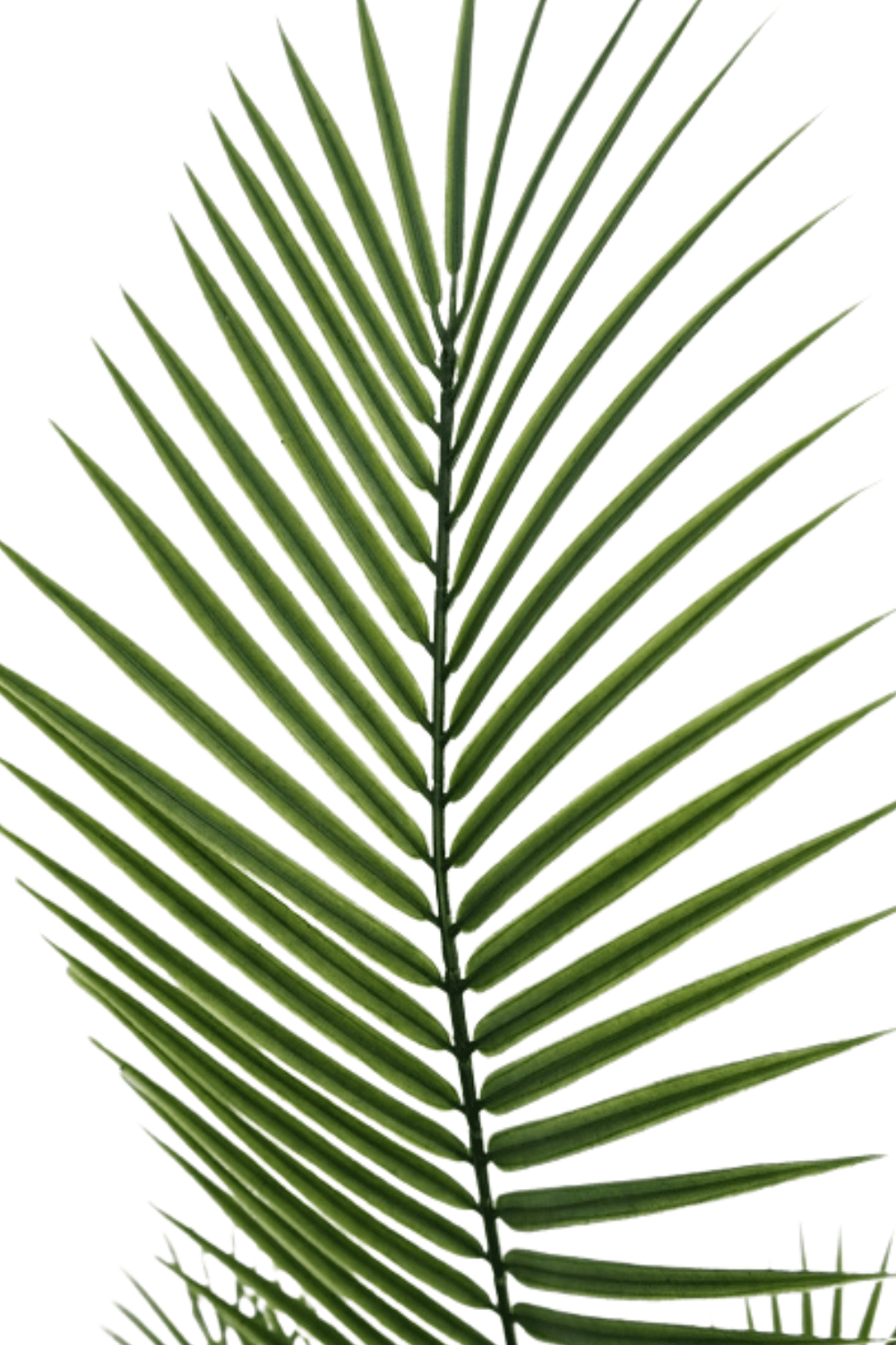 blad Kunstpalm 3 180cm