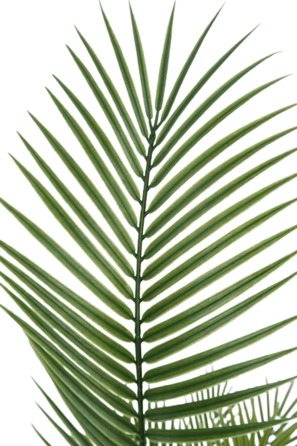 blad Kunstpalm 130cm