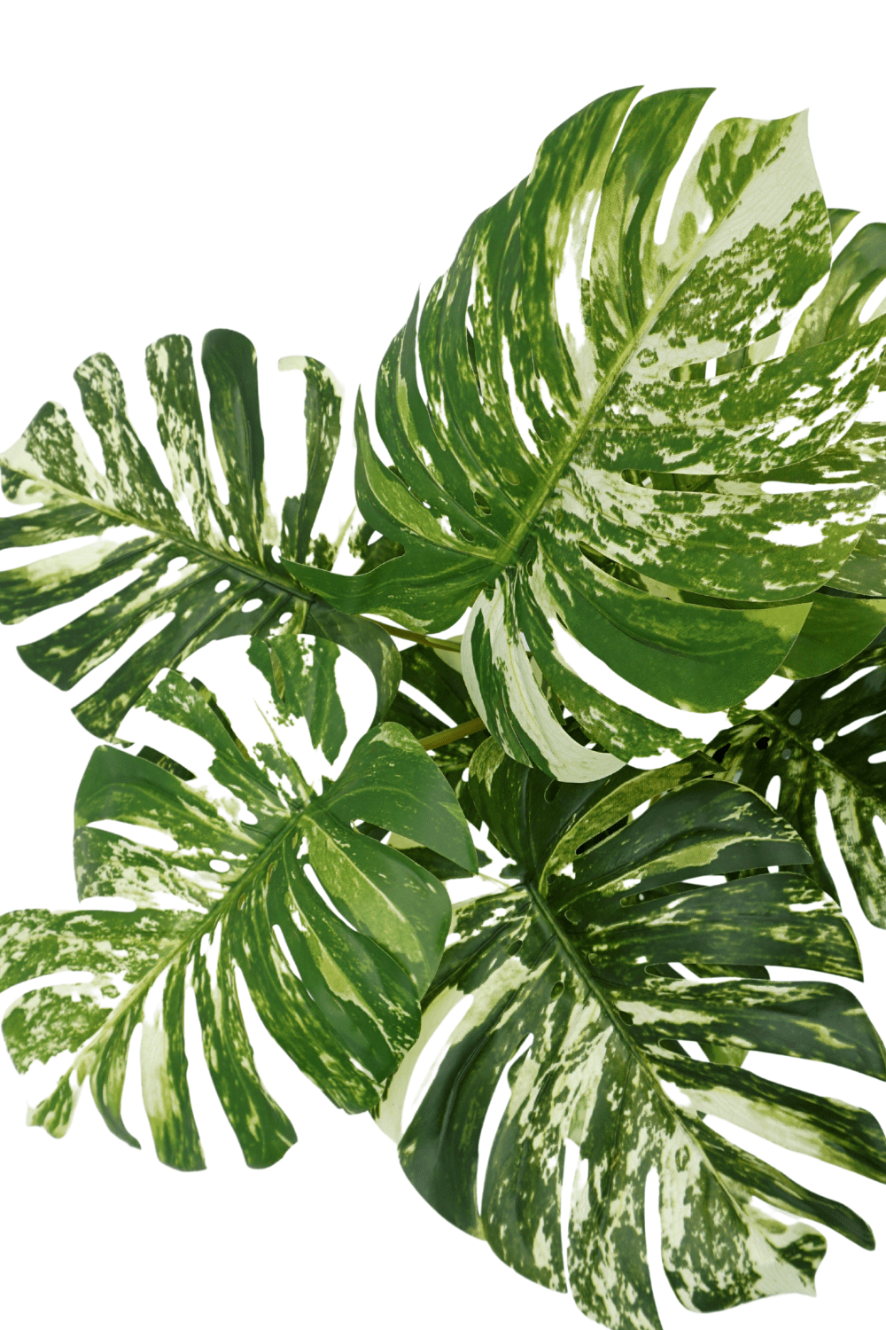 bovenaanzicht Monstera Kunstplant 75cm