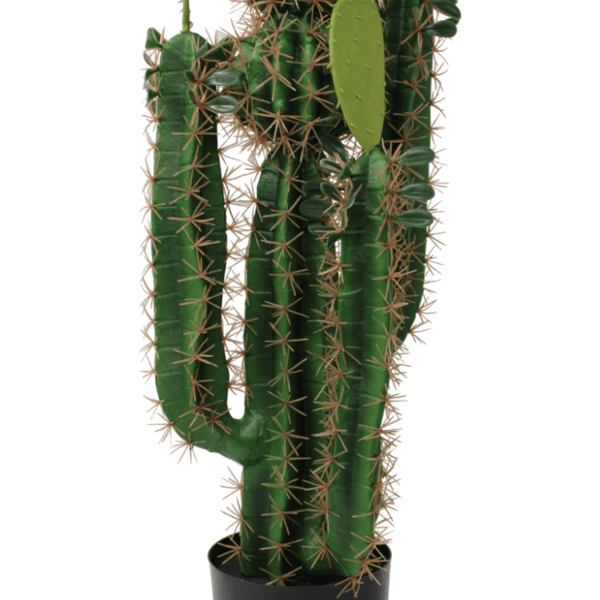 Seeko Kunstkaktus für Heimdekoration, 27,9 cm, künstlicher Kaktus für  Südwesten, Büro, Schreibtisch, Regal – künstliche Pflanzen für den  Innenbereich