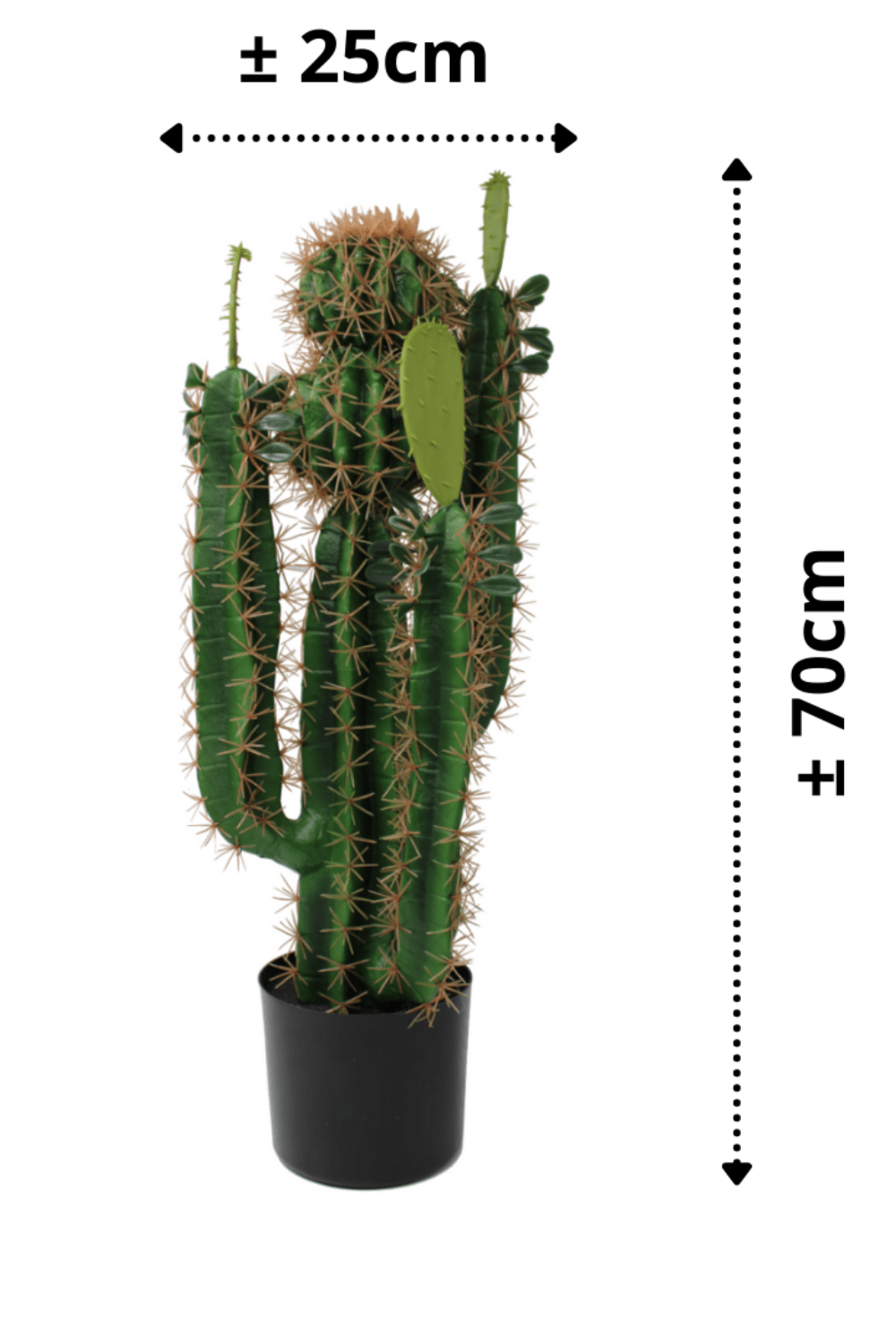 | Kunst PrettyPflanzen 70cm Kostenloser | Kaktus Zierkies