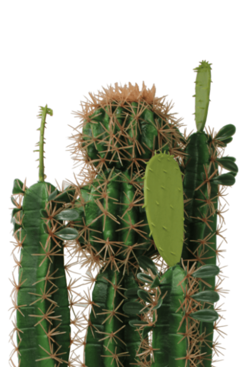 Kunst Kaktus 70cm Zierkies | Kostenloser | PrettyPflanzen