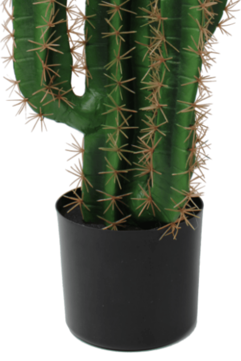 Kunst 70cm PrettyPflanzen Kaktus Kostenloser Zierkies | |