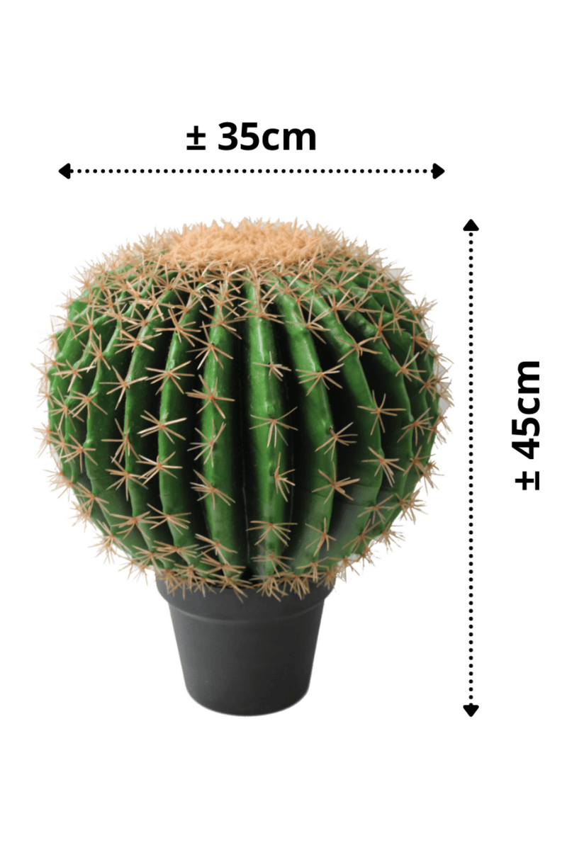 Künstliche Pflanze - Kaktus 97 cm - €58.99 
