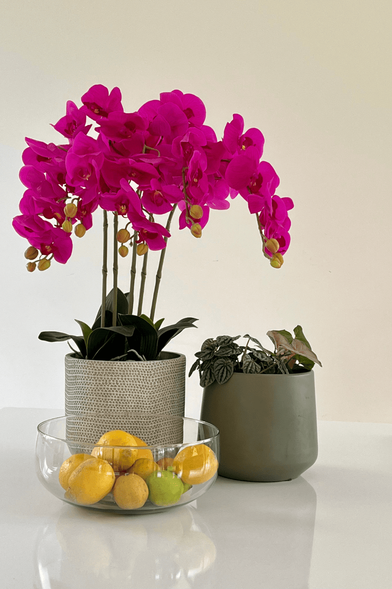 Orchidee Kunstpflanze Rosa 70cm Bestellen? | PrettyPflanzen