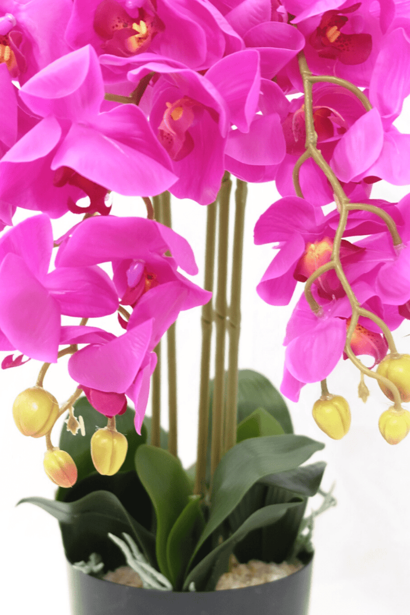 Kunstpflanze Bestellen? Orchidee PrettyPflanzen Rosa | 70cm