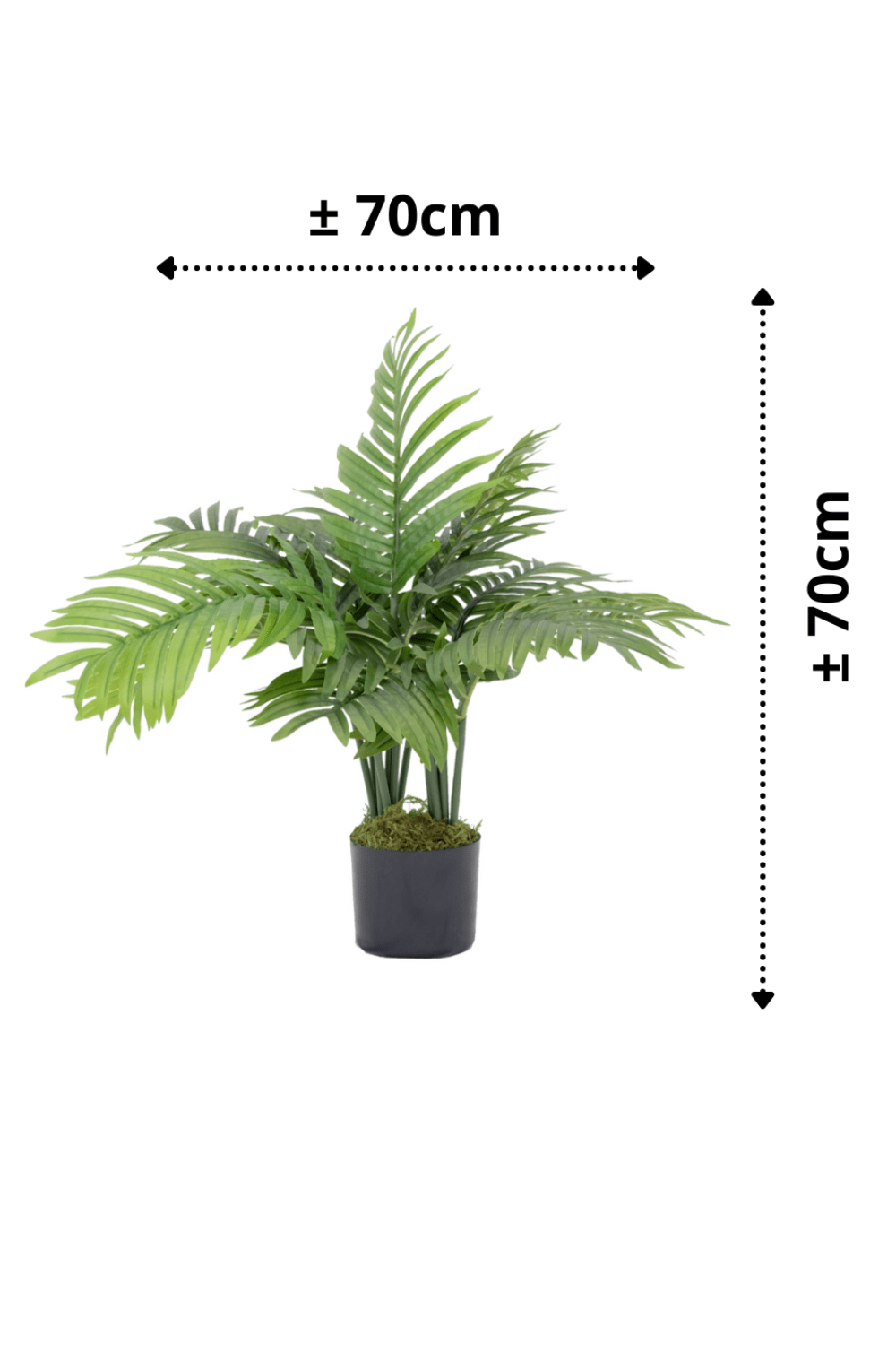 afmetingen Kunstpalm 70cm