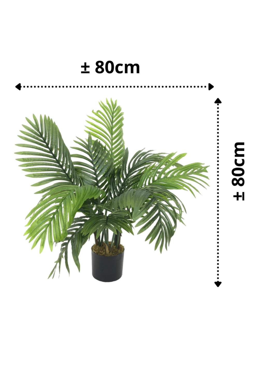 afmetingen Kunstpalm Serie A 80cm