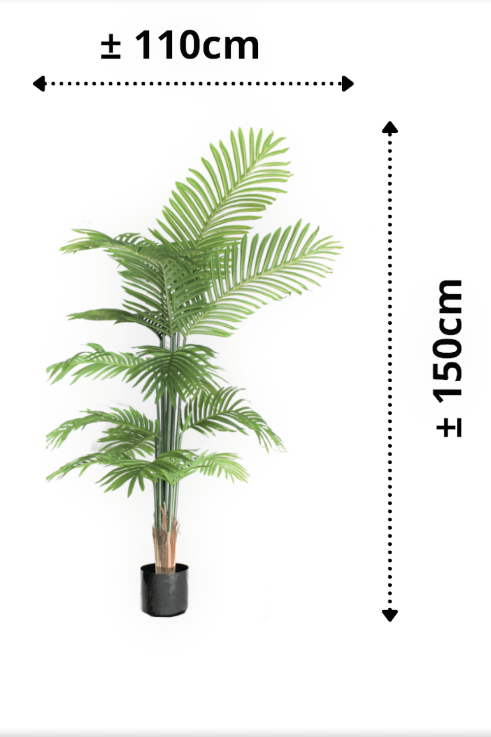 afmetingen Kunstpalm Serie B 150cm