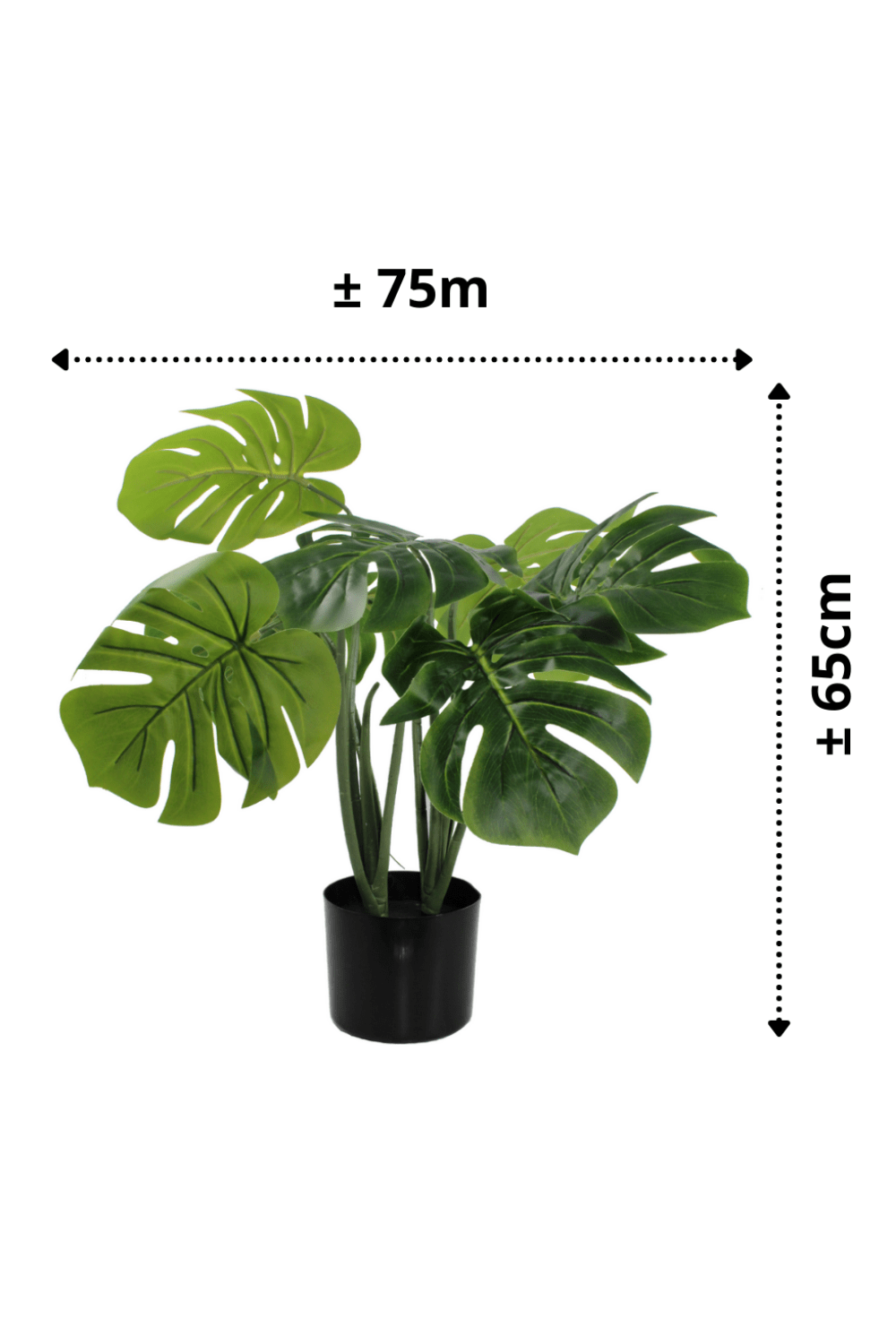 afmetingen Monstera Kunstplant 65cm