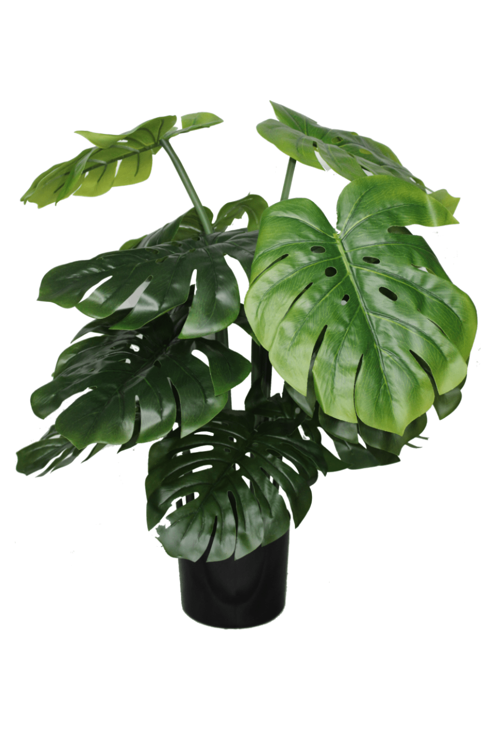 Monstera Kunstplant B 80cm