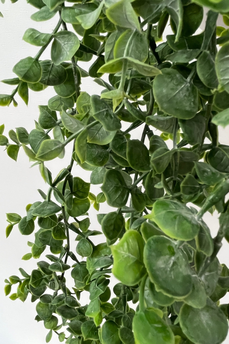 Hängepflanze künstliche Eukalyptus 60cm