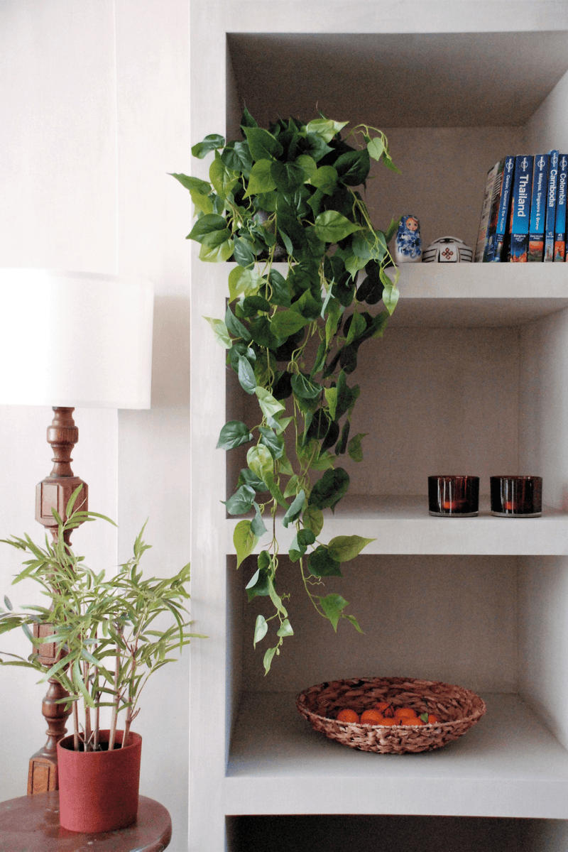 Das Beste dieser Saison Philodendron hängende Kunstpflanze | PrettyPflanzen
