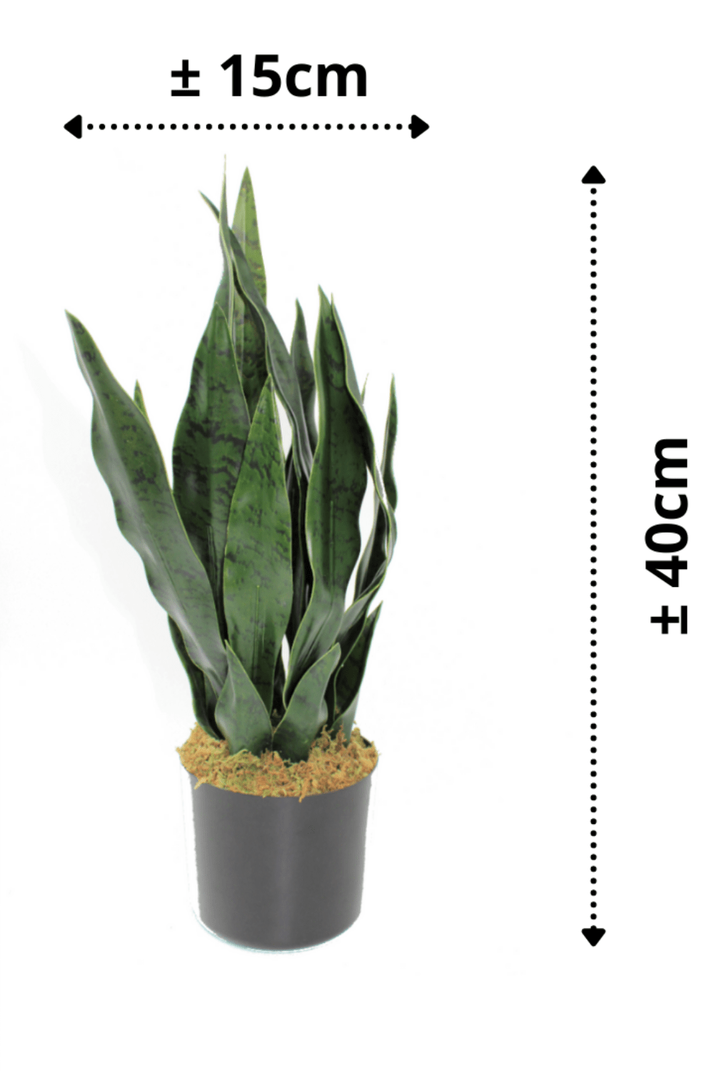 afmetingen Sansevieria Kunstplant 40cm