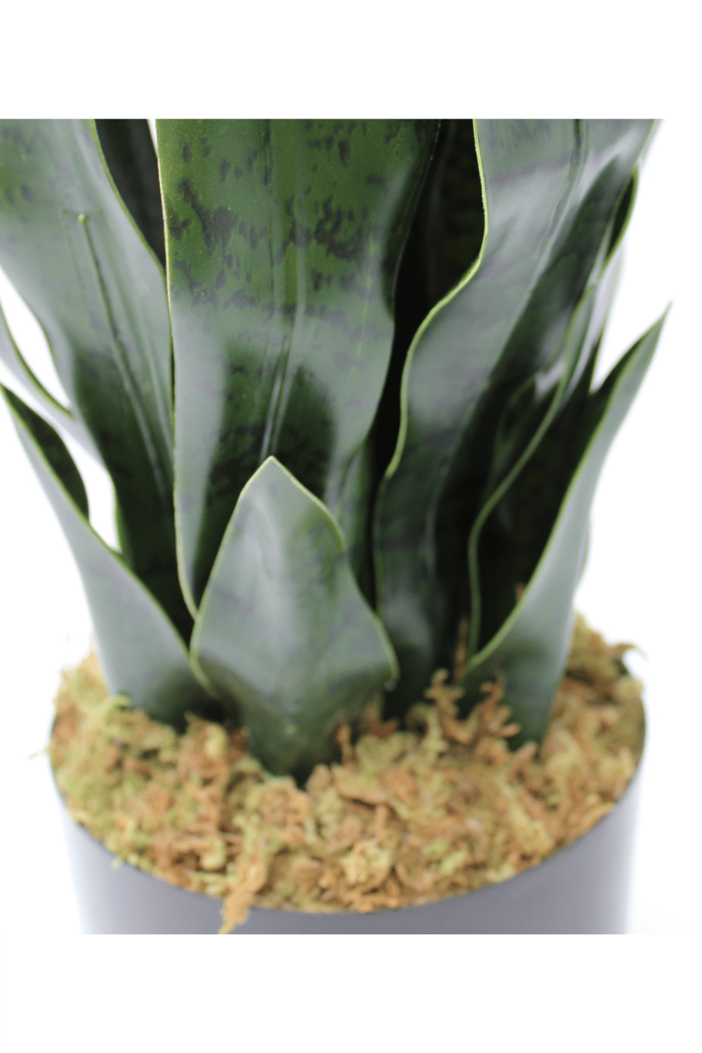 onderkant Sansevieria Kunstplant 40cm