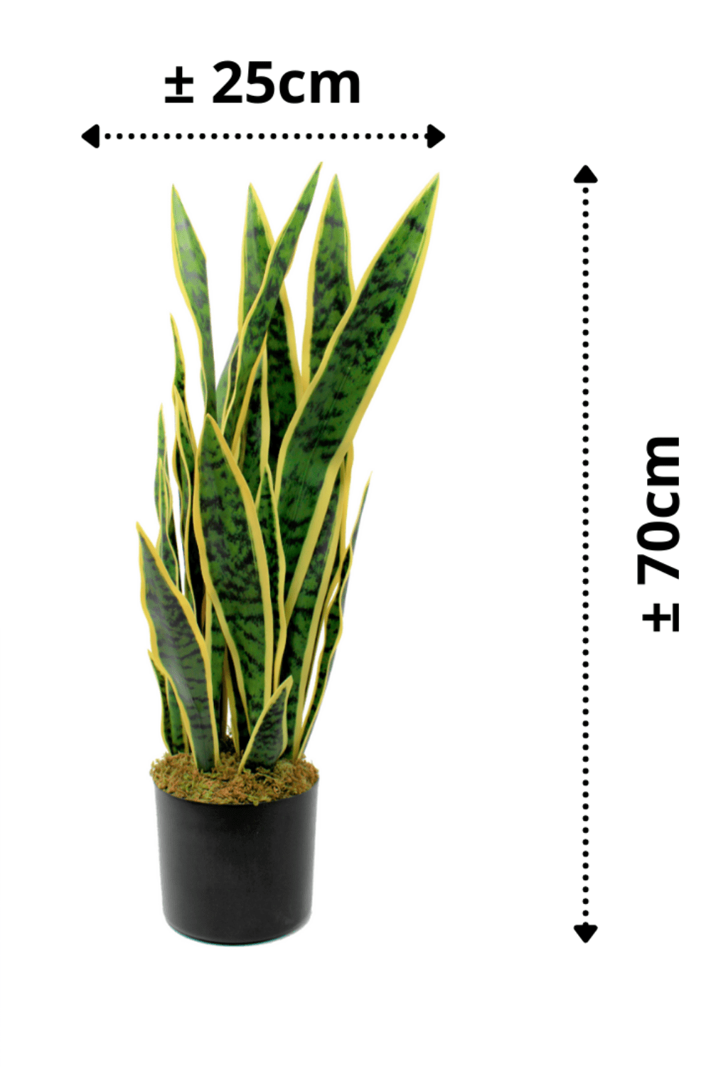 afmetingen Sansevieria Kunstplant 70cm