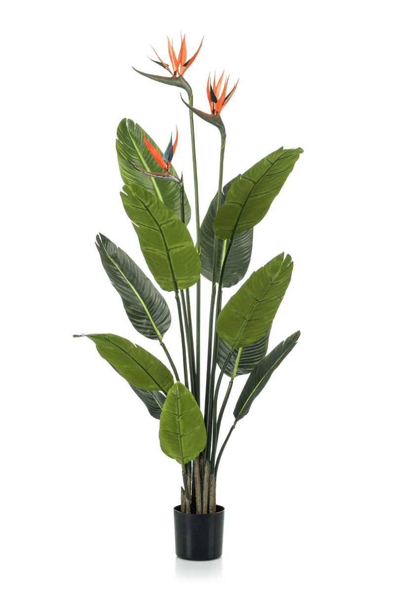 PrettyPflanzen 120cm Kunstpflanze Blüte Versand | | mit Strelitzia Kostenloser