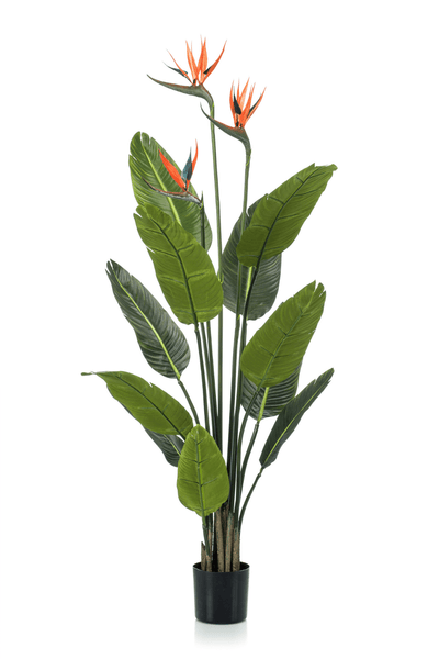 [Super-Sonderpreis] Strelitzia Kunstpflanze 120cm mit Blüte Versand Kostenloser PrettyPflanzen | 