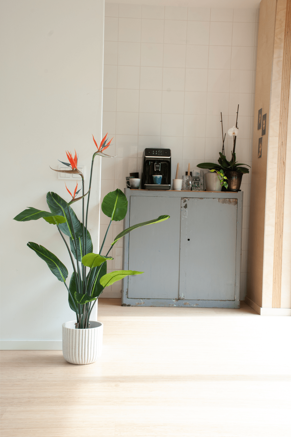 sfeerbeeld Strelitzia Kunstplant 120cm met bloem