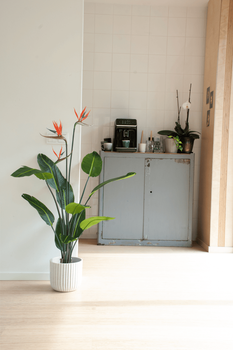 Strelitzia Kunstpflanze 120cm | Blüte PrettyPflanzen mit Kostenloser | Versand
