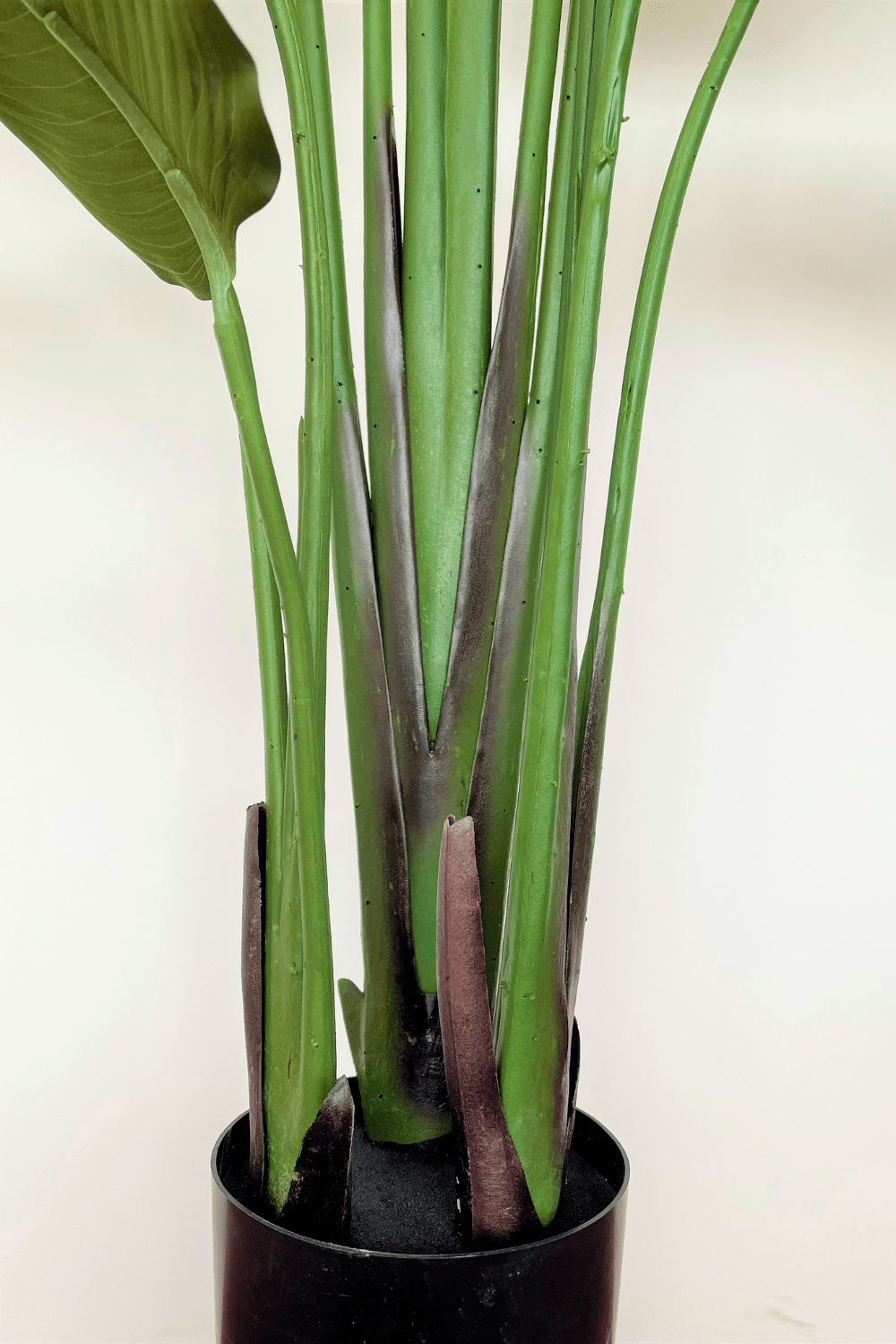 stam Strelitzia Kunstplant 210cm