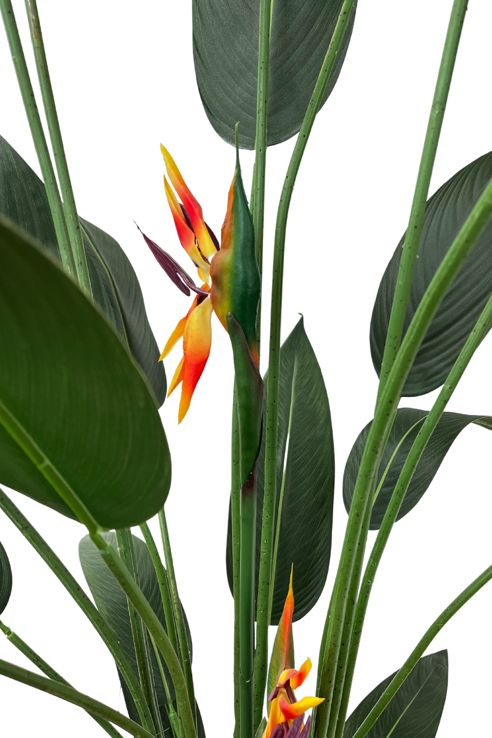 bloemen en bladeren Strelitzia Kunstplant Met Bloem 180cm