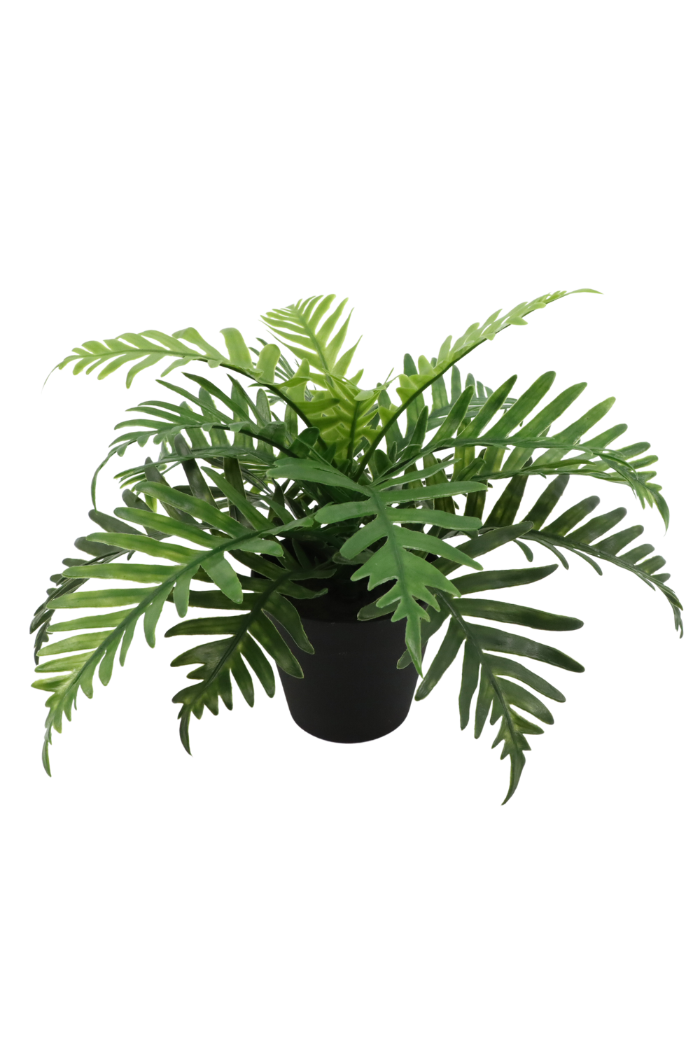 Pteris Kunstpflanze 20cm