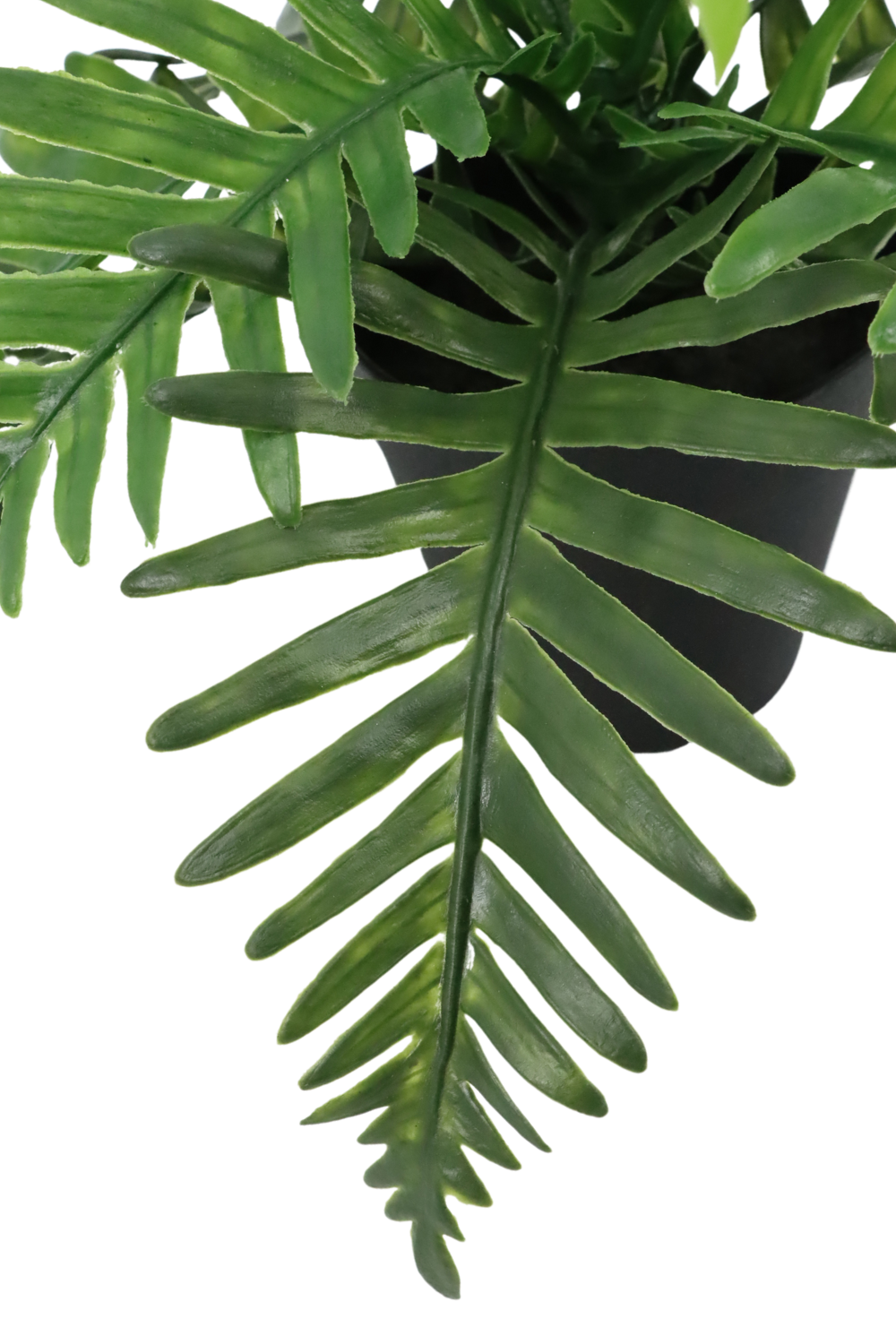 Pteris Kunstpflanze 20cm