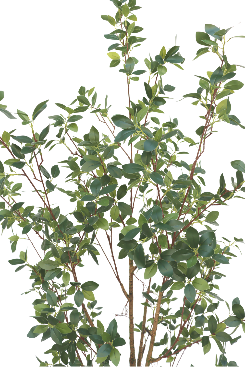 bladeren Ficus Kunstplant 180cm