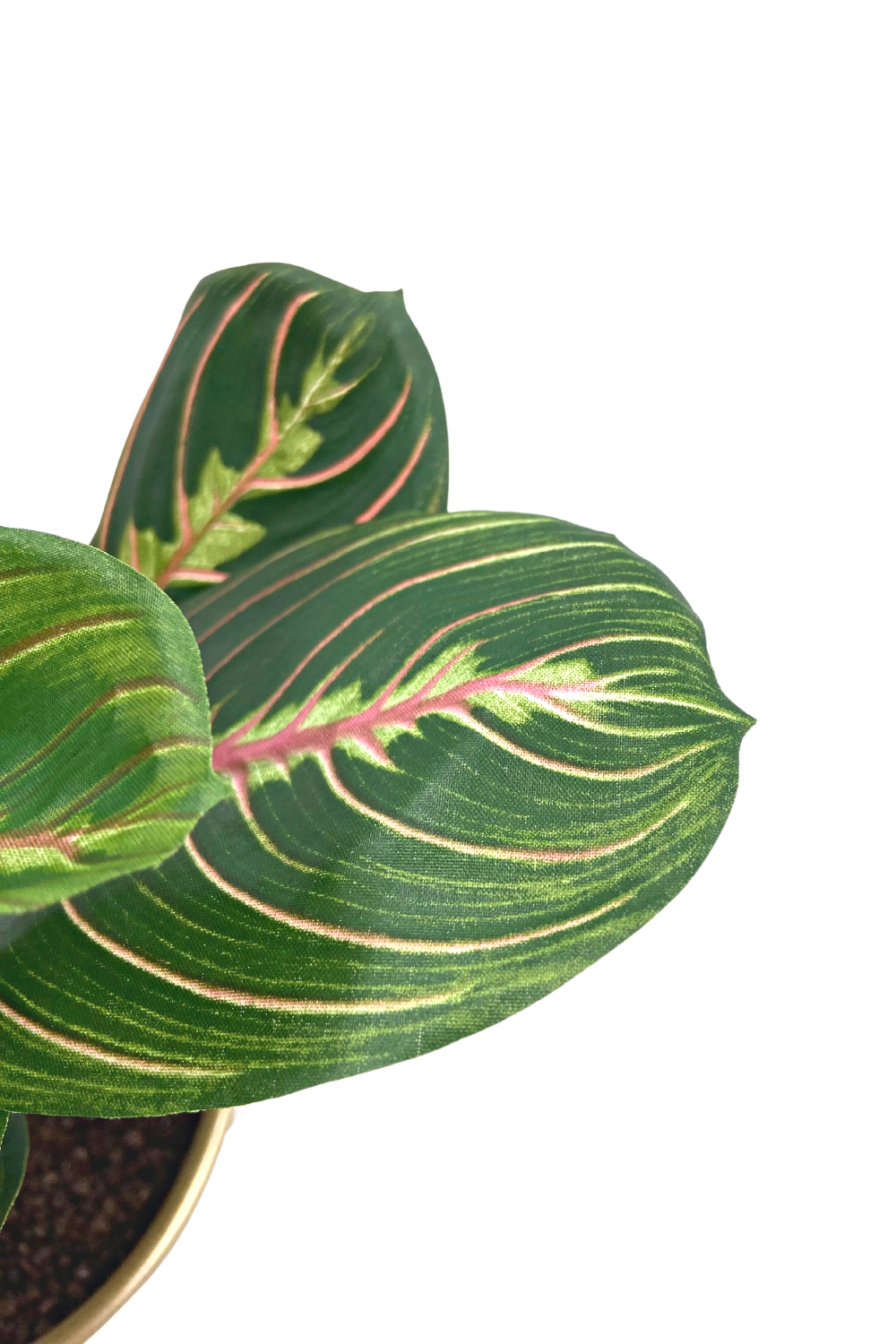 Maranta Bush Kunstpflanze im goldenen Topf 30cm