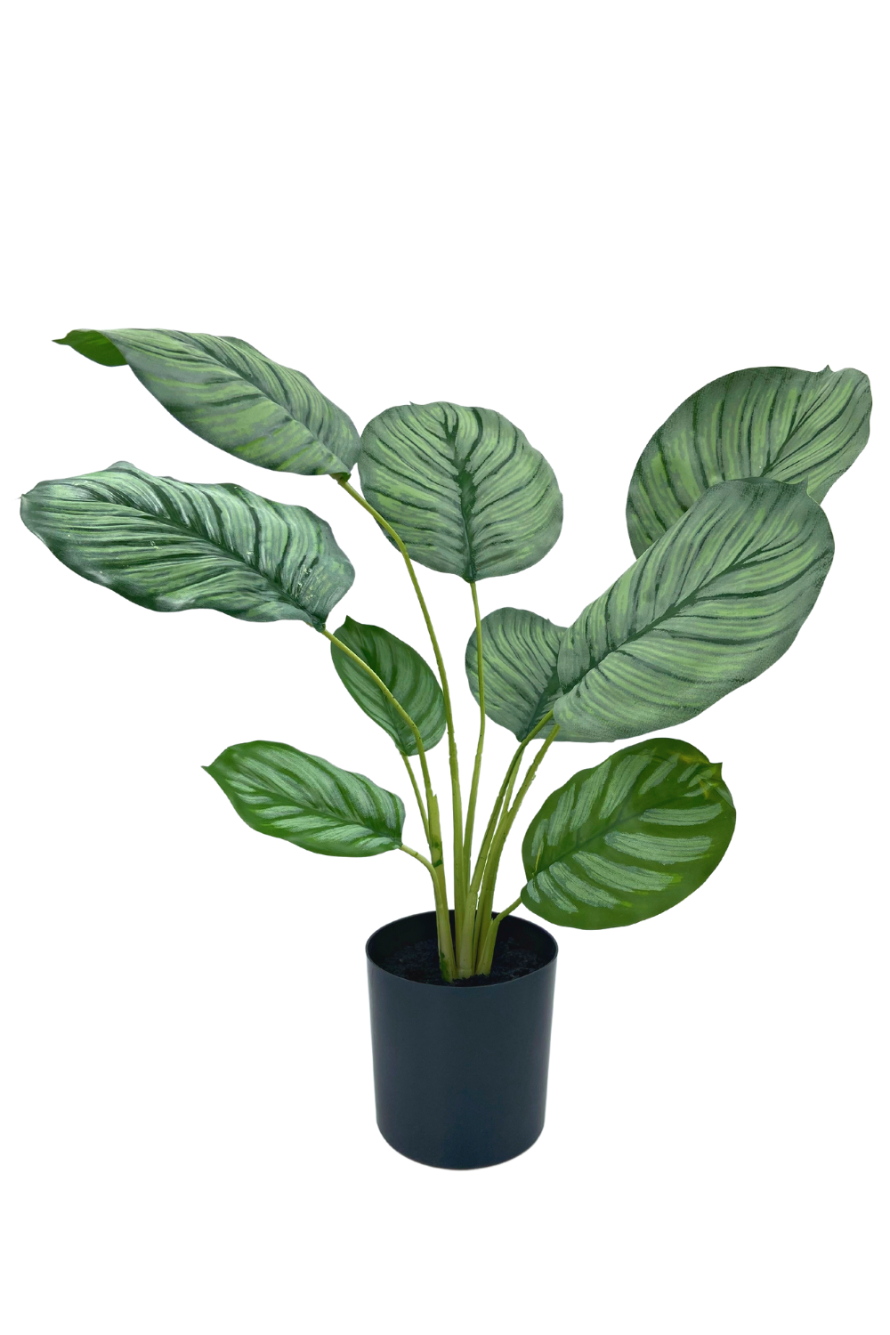 Calathea Kunstpflanze 45cm