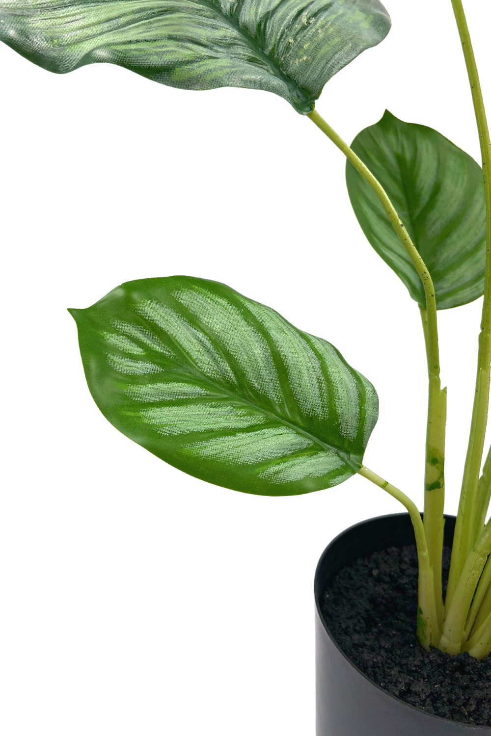 Calathea Kunstpflanze 45cm