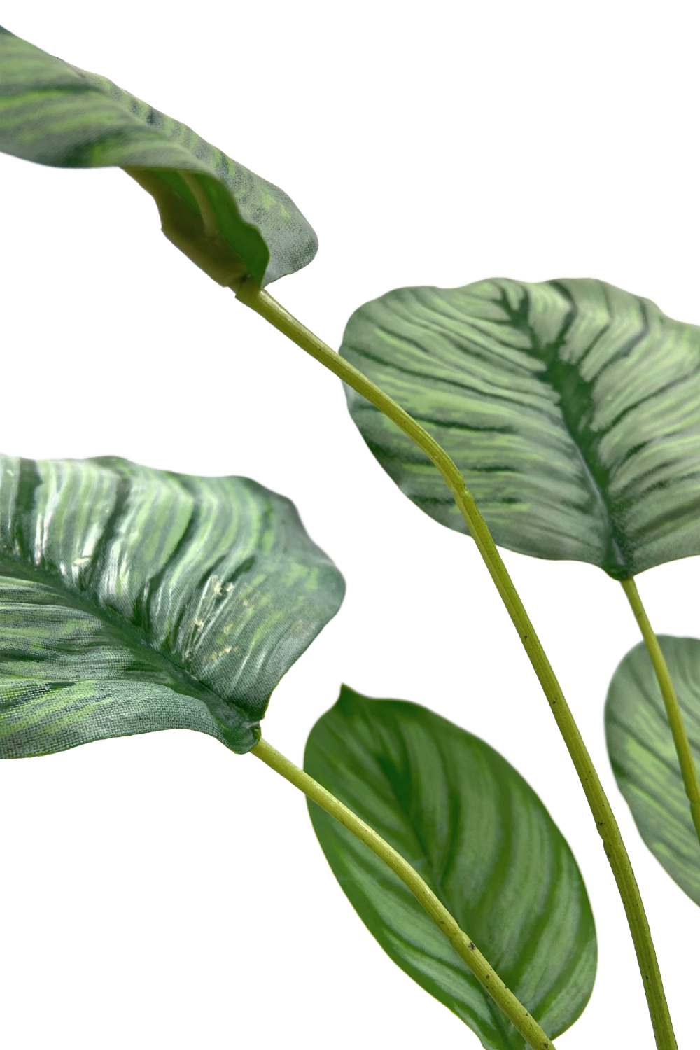 Calathea Kunstpflanze 45cm