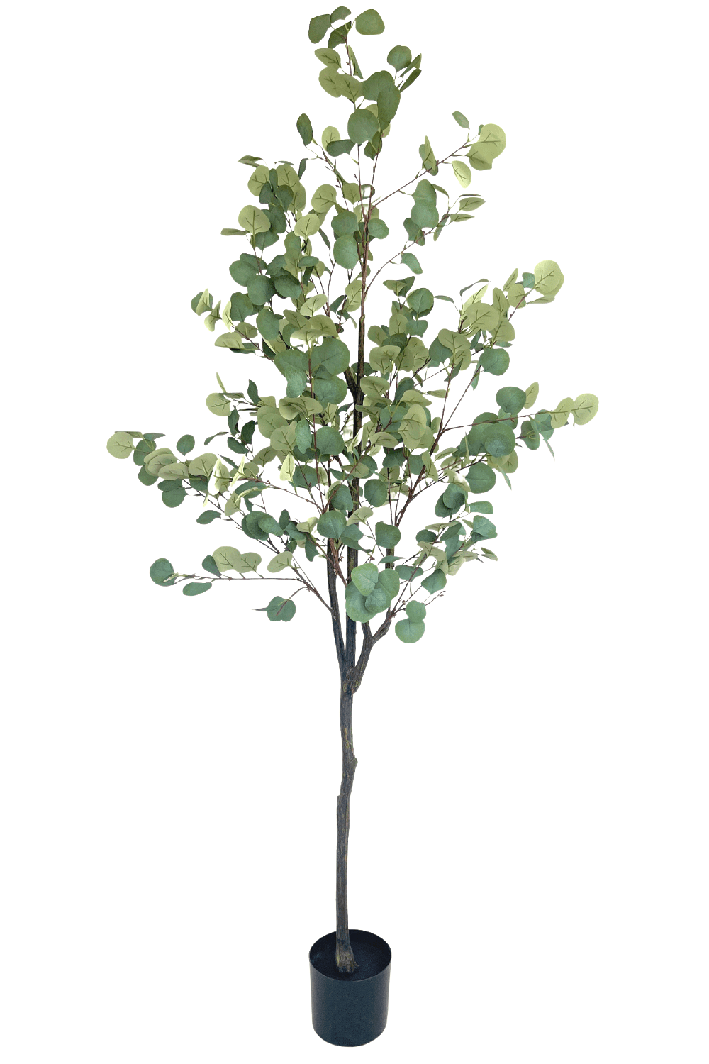 Eukalyptus Kunstbaum 180cm Grün