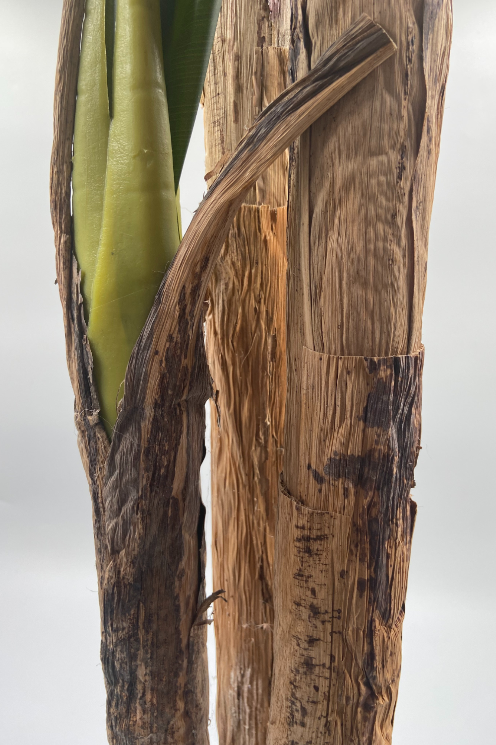 Bananenstaude Kunstpflanze Serie B 180cm