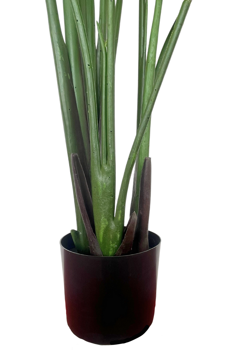 Strelitzie Kunstpflanze 180cm | Kostenloser Versand | PrettyPflanzen