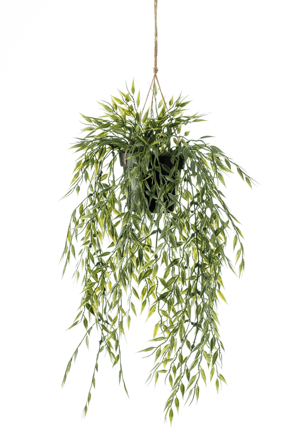 Qualität | Künstliche Bambus PrettyPflanzen Pflanze Hohe |