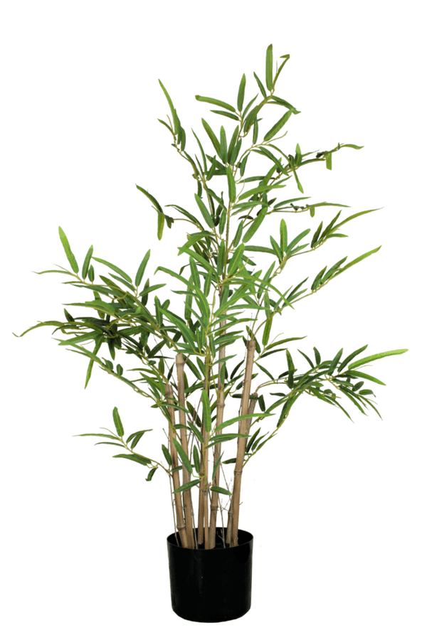 Künstliche Bambus Hohe Pflanze PrettyPflanzen | Qualität 