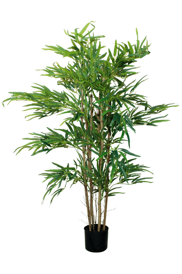 | Hohe Qualität | PrettyPflanzen Bambus Pflanze Künstliche