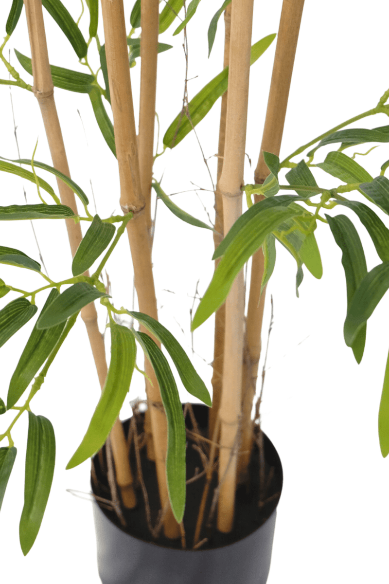 | Versand | 120cm Kostenloser Kunstpflanze Bambus PrettyPflanzen