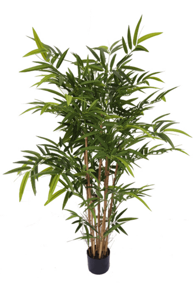 bambus 120 cm Kunstpflanze Bambus 120 cm schnell günstig online kaufen