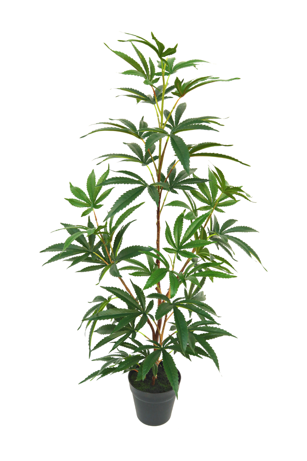 Aralia kunstplant 100cm